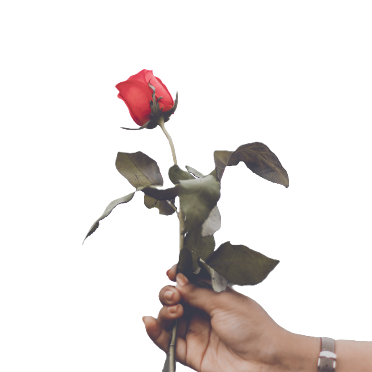 Floristická přízdoba